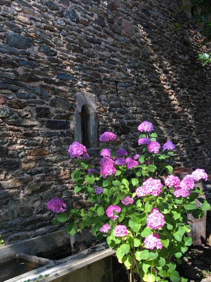 Ferienwohnung La Conquise Conques-en-Rouergue Exterior foto