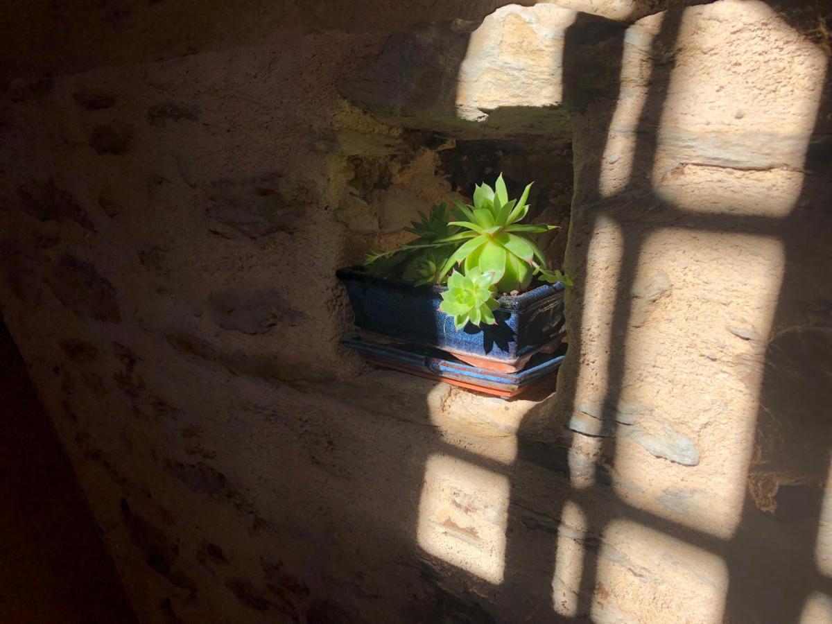 Ferienwohnung La Conquise Conques-en-Rouergue Exterior foto