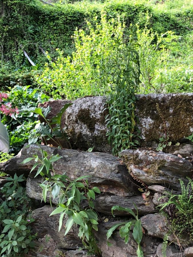 Ferienwohnung La Conquise Conques-en-Rouergue Exterior foto